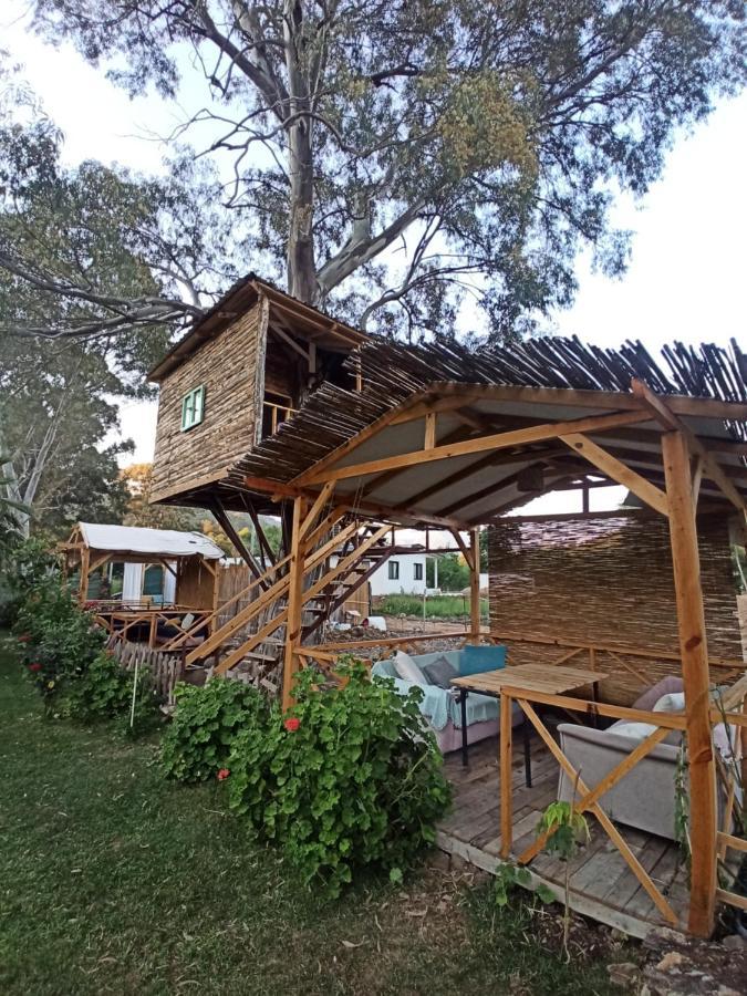 Daidala Life Bed & Breakfast Gocek  Exterior photo